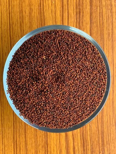 Finger Millet